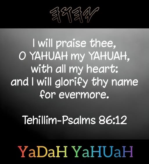 547061899 2678524049173949 9043126547859059983 N