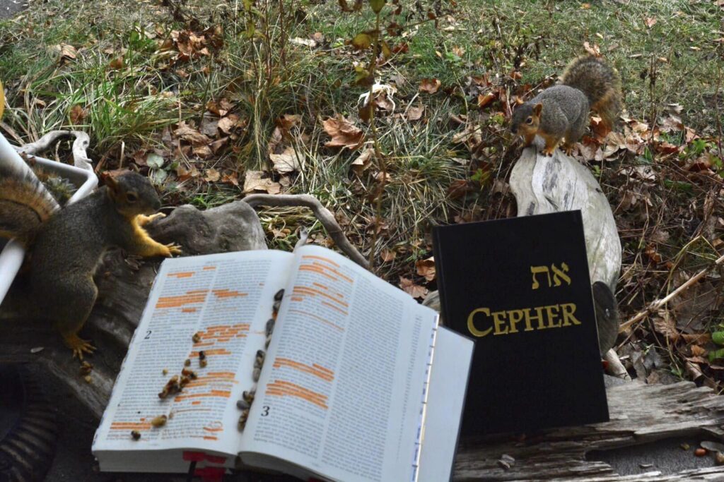 Scripture Squirrels of YHWHY By Elder Vance